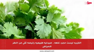 الكزبرة ليست مجرد نكهة.. صيدلية طبيعية رخيصة تقي من أخطر الأمراض